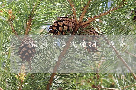 信用卡多次逾期 房贷 信用卡多次逾期 房贷